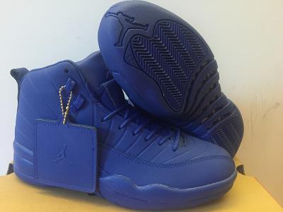 Air Jordan 12-259